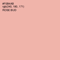 #F0B4AB - Rose Bud Color Image